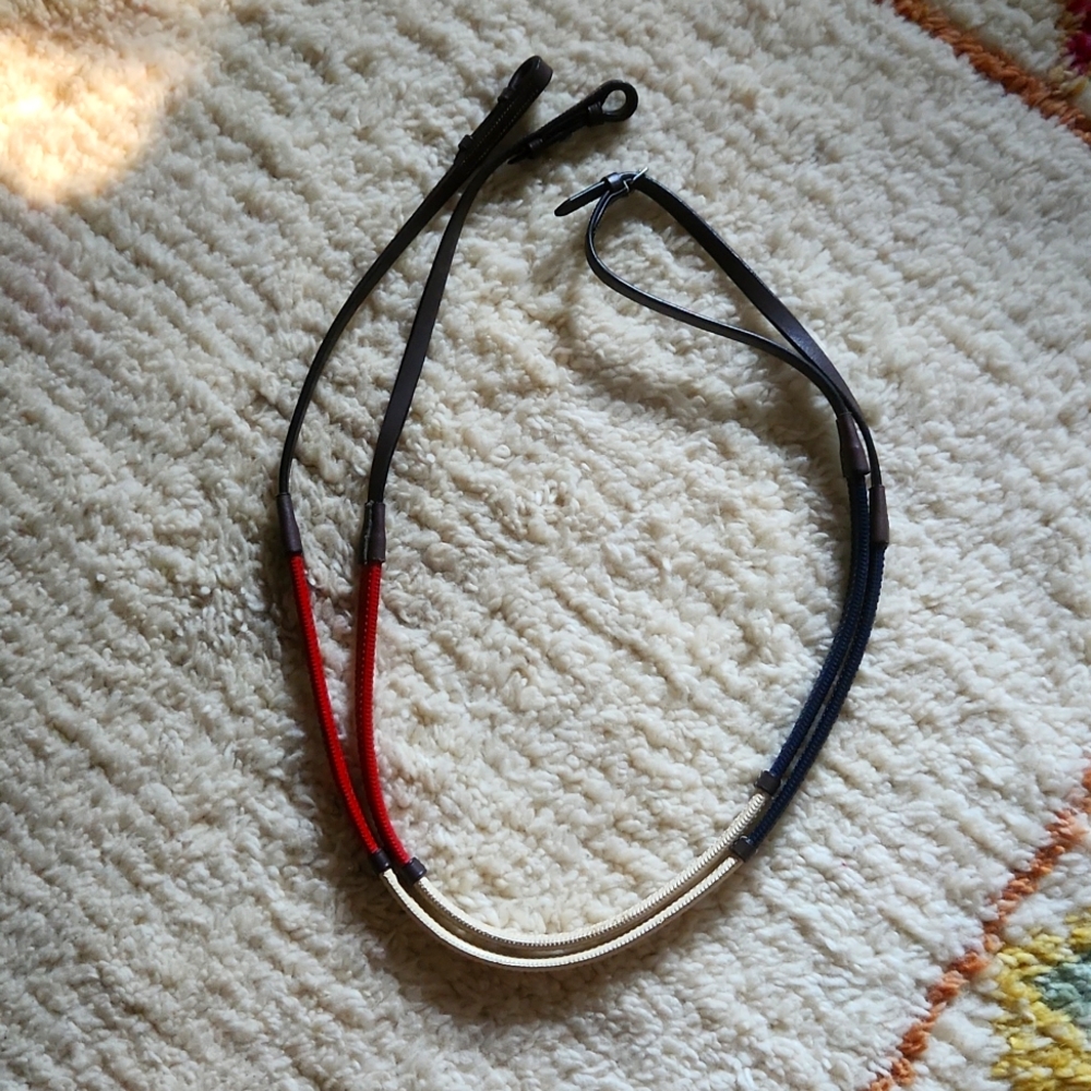 Patriotic rainbow reins